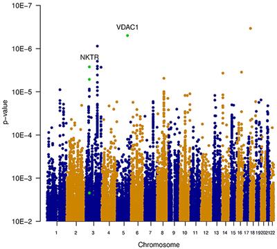 A Pilot Genome-Wide Association Study Identifies Potential Metabolic Pathways Involved in Tinnitus
